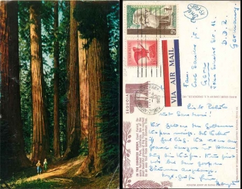 California National Park Congress Group Baum o 04.06.1965