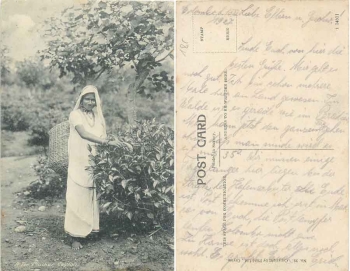 Ceylon A Tey-Plucker gebr. 1927