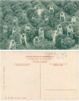 Landwirtschaft, Feldarbeit, Künstlerkarte v. Hans Hildenbrand * ca. 1920