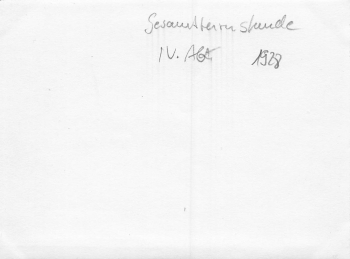 Chemnitz Turnerschaft Gesamtturnstunde IV. Abt. Echtfoto 1928