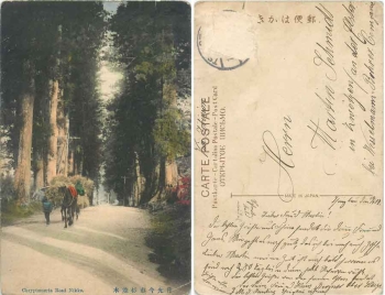 Chryptomeria Road Nikko Japan Nippon gebr. 12.4.1917
