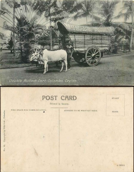Colombo Ceylon ox cart * approx. 1915