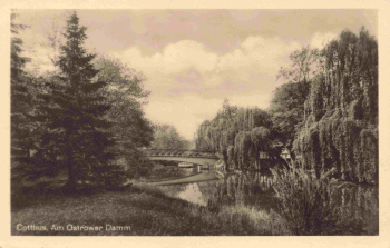 Cottbus Ostrower Damm o 1951