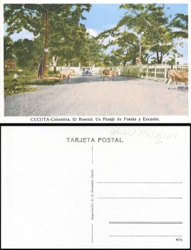 Cucuta Colombia El Rosetal and Paraje de Poesia y Encanto cows *ca. 1930