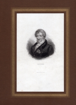 Cuvier Georges naturalist original steel engraving around 1850
