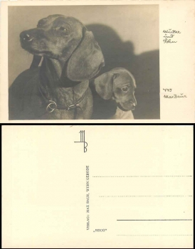 Dackel Mutter und Sohn  *ca.1930