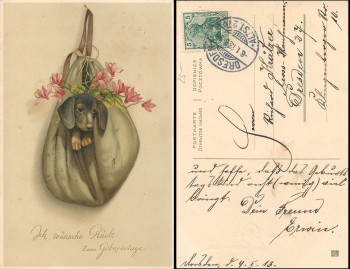 Dackel im Rucksack o 8.1.1913