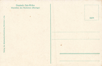 Peeling of the timber (munigo) German East Africa * around 1910