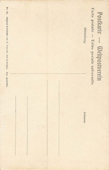 Kandelaber Euphorbie Deutsch Ostafrika * um 1910