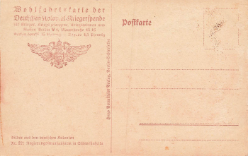 Government ostrich farm German South West Africa * around 1930