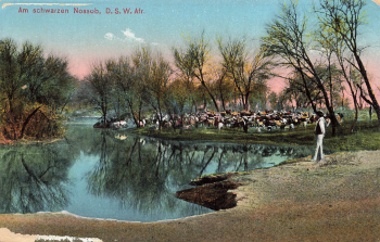 am schwarzen Nossob Deutsch-Südwestafrika * um 1910