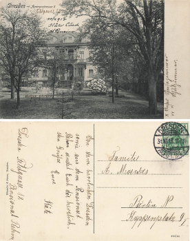 Dresden Ammonstrasse 8 o 1913