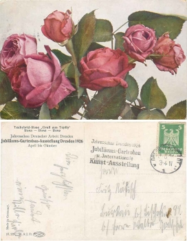 Dresden Jubiläums Gartenbau Ausstellung 1926 Vergnügungspark Offizielle Karte No.23