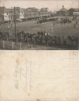 Seidnitz Dresden Rennplatz Militär Pferdetransport nach Dresden 15. März 1917