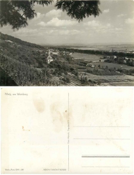 Pillnitz Dresden Weinberg *1957 Hanich1017