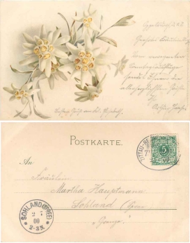 Edelweiss artist card M&B 1061 o 2.7.1900 Bahnpost Zittau - Reichenau train no. 2606