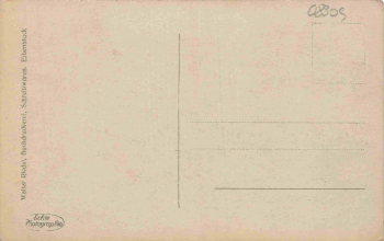 Wildental Eibenstock Erzgebirge alte Ansichtskarte * um 1930