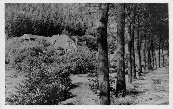 Eisenberg Thüringen Pfarrmühle * um 1940