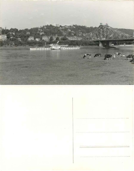 Elbe steamship "Unity" in front of the Blue Wonder in Dresden around 1960 Hanich photo