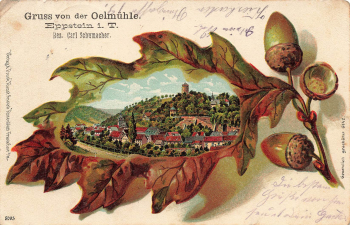 Eppstein Taunus Prägelitho o 08.03.1904