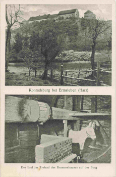 06463 Ermsleben, Falkenstein/Harz: Konradsburg with donkey, circa 1920