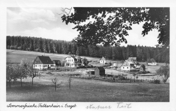 01776 Falkenhain Erzgebirge gebraucht 1953