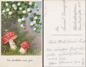 New year mushrooms used circa 1920