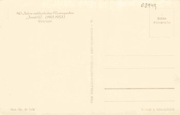 Forst (Lausitz), Wehrinsel: 40 Years of the East German Rose Garden * 1953