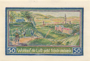 Freiburg Schlesien Świebodzice Notgeldschein 1921