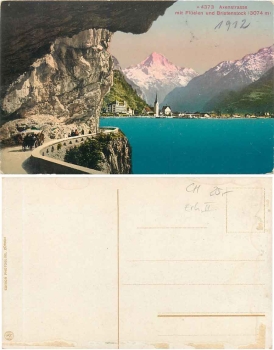 Fluelen Axenstrasse Birkenstock * ca.1920