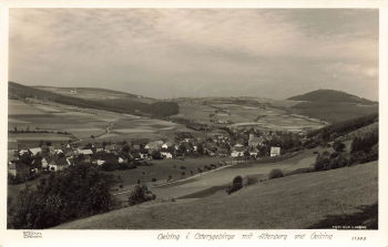 01778 Geising Erzgebirge Hahn-Foto11383 * um 1940