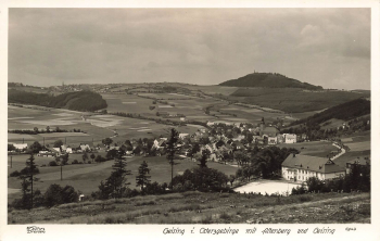 01778 Geising Erzgebirge Hahn-Foto6943 * um 1940