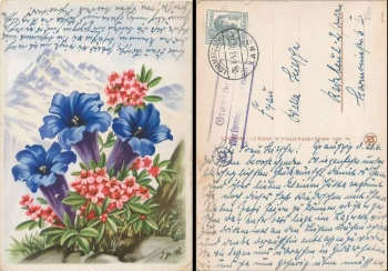 01683 Graupzig via Lommatzsch country postmark on artist card flowers o 24.6.1947