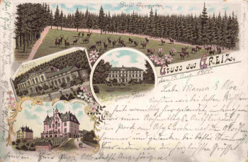 Greiz Vogtland Gruss aus... Litho o 1900