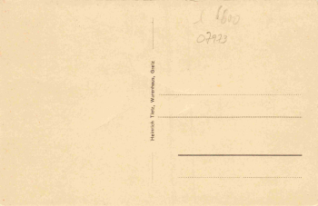 Greiz Vogtland Totalansicht * um 1920