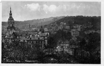 Greiz Vogtland Totalansicht * um 1940