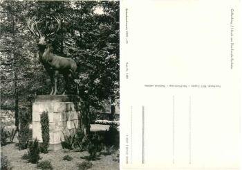 01737 Grillenburg Tharandt Hirsch am Elsa Fenske Kurheim *1968