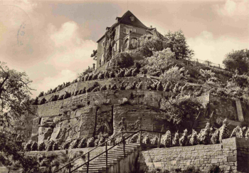Grossjena Naumburg Saale Weinberge an der Unstrut o 1968