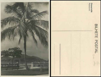 Guaruja Brazil Palmeiras *ca.1940