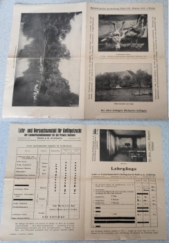 Halle Saale Central German Exhibition 1921 Poultry Show Brochure