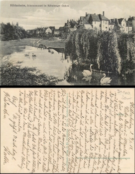 Hildesheim Schwaneninsel im Kalenberger Graben gebr. 1918