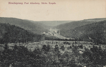 01773 Hirschsprung Erzgebirge * um 1910