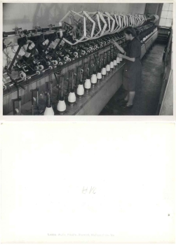 Hohenstein-Ernstthal weaving knitting machine equipment large photo 17.5 x 12.5 cm around 1950