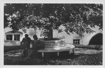 01848 Hohnstein Sächsische Schweiz Jugendburg * um 1930