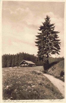 Steinbach Johanngeorgenstadt Erzgebirge Professorenhaus * um 1930