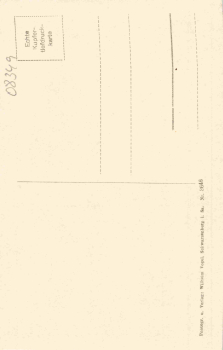 Steinbach Johanngeorgenstadt Erzgebirge Professorenhaus * um 1930