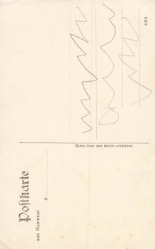 Mokundange fan and oil palms, Cameroon * around 1910