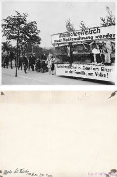 Rabbit meat must become national food, move of rabbit breeders real photo June 14, 1931