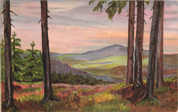 01773 Kipsdorf Baerenfels Baerenburg Künstlerkarte H.v.S. o 1914