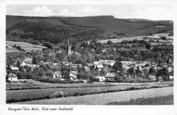 Königsee Thüringer Wald Totalansicht * 1957